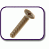 PEEK® countersunk screw [181] (181051570409)