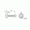 Flanged Hexagonal Torx screw [129] (129102000002)